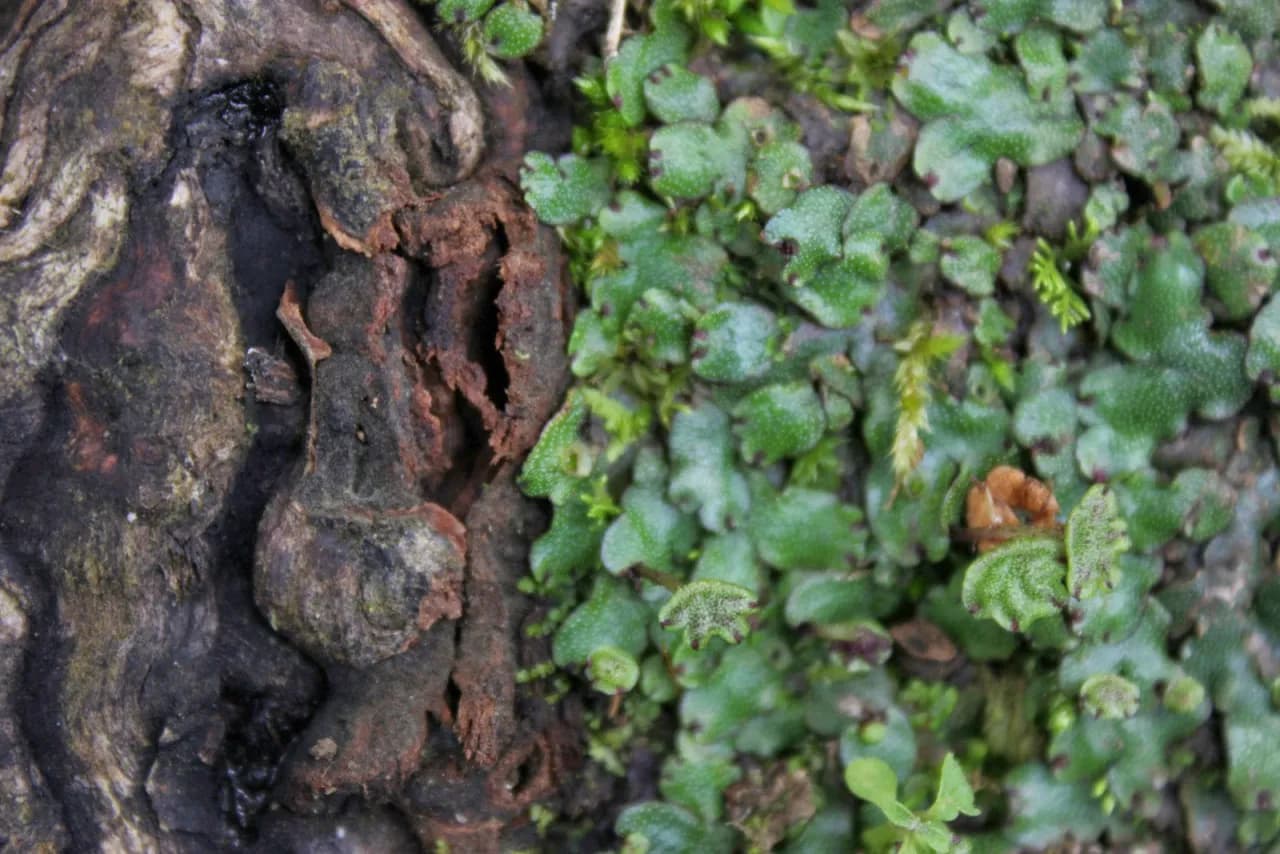 Faktura w malarstwie: jak tekstura wpływa na emocje i odbiór dzieła