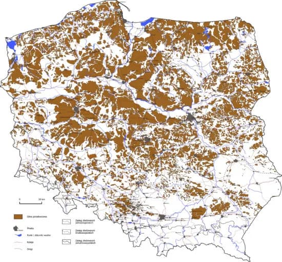 Formy rzeźby: odkryj różnorodność technik i materiałów w sztuce