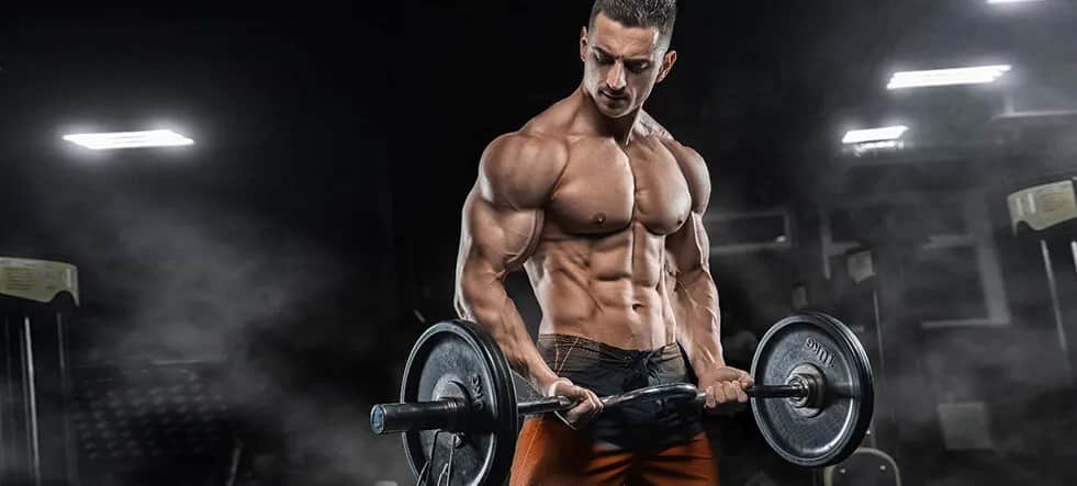 Masa rzeźba: jak skutecznie przejść między fazami treningowymi