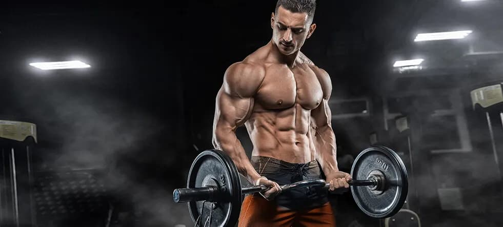 Masa rzeźba: jak skutecznie przejść między fazami treningowymi